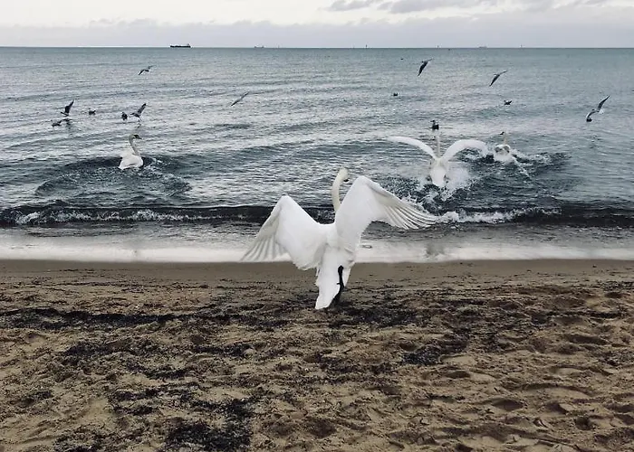 Z Widokiem Na Morze Apartamento *